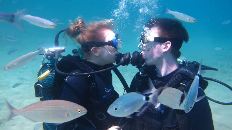 Kos: Try Scuba Diving with a diving boat - Price and value in Kos: what $123 covers, plus the real extras