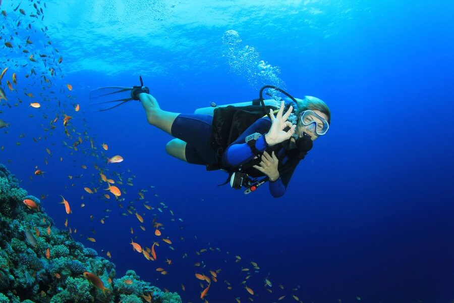Kusadasi: Diving Experience with Lunch and Transfer - Hotel Pickup, Van Transfer, and the Boat Schedule That Actually Works