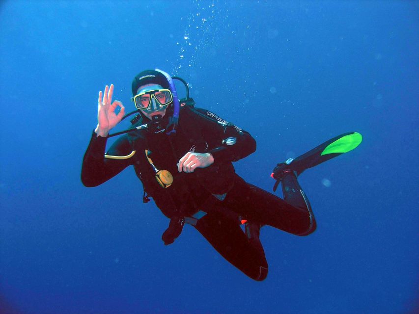 Kusadasi: Scuba Diving for Beginner or Experienced w/ Lunch - Kusadasi scuba, minus the logistics headache
