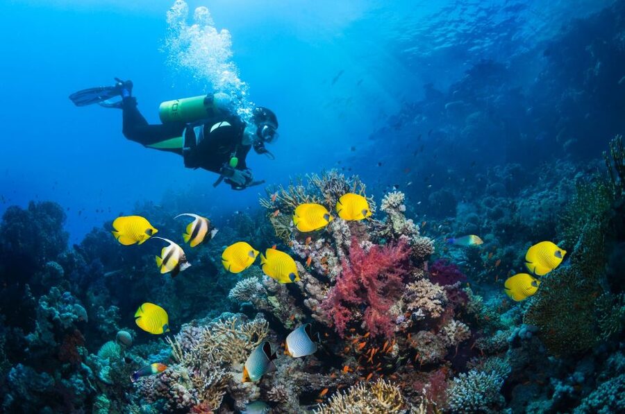 Kusadasi: Scuba Diving for Beginner or Experienced w/ Lunch - What to bring (and what to leave behind)