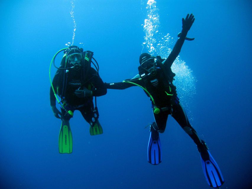 Kusadasi: Scuba Diving for Beginner or Experienced w/ Lunch - What the instructors teach before you go in