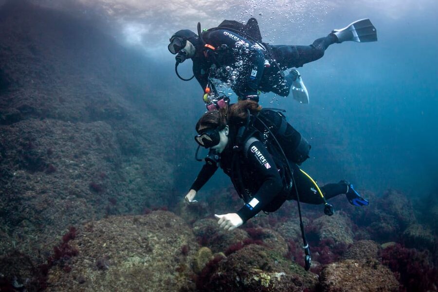 L'Estartit: Dive and Snorkeling in Montgrí Natural Park - Key moments that make this tour worth your time