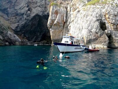 L'Estartit: Dive and Snorkeling in Montgrí Natural Park - From Medaqua store to the water: quick, clear, and efficient