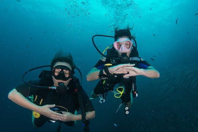 La Bombona Diving Koh Tao Open Water Course - Key highlights at La Bombona’s Koh Tao Open Water course