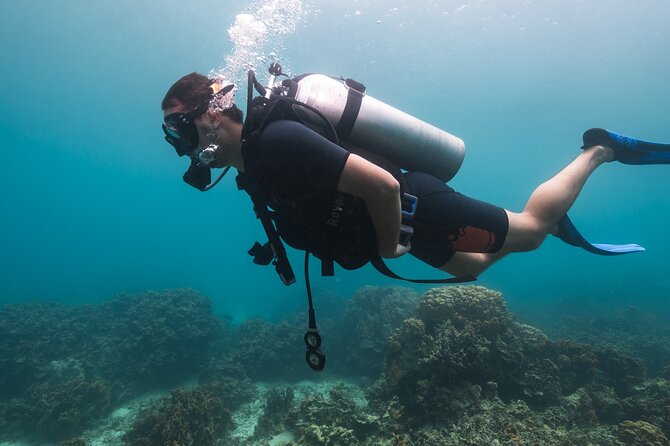 La Bombona Diving Koh Tao Try Dive - Instructors Make the Difference: Juan, John, Noelia, and Ernest