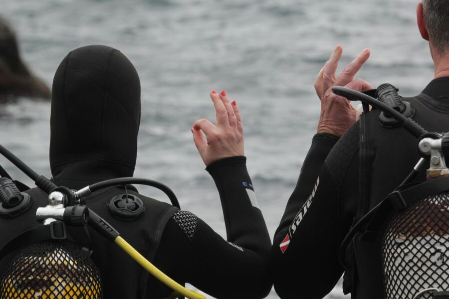 La Palma: Basic Diver Certification with 2 Atlantic Dives - Your 6-Hour Day Plan: From Shallow Breathing to 12m Skills