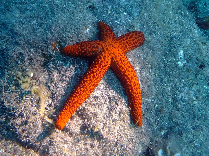 La Palma: SSI Try Scuba Program - Weather reality on La Palma