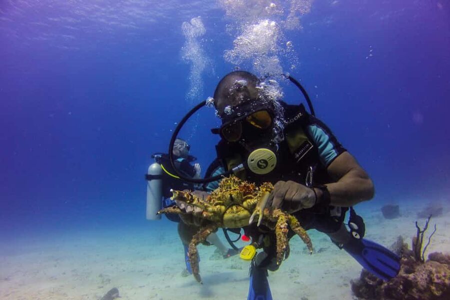 La Romana: Scuba Diving in Catalina Island - How this 9-hour itinerary actually plays out