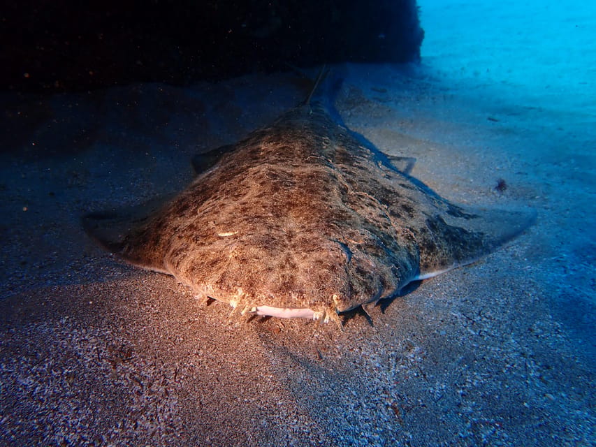 Lanzarote: 2 Guided Dives (Certified Divers Only) - The 1-hour break: where comfort and re-grouping actually happen