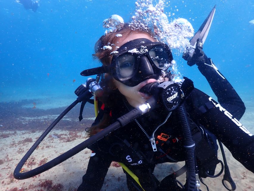 Lanzarote: Intro to Diving Experience for Beginners - Should You Book Pro Dive Lanzarote’s Beginner Scuba Try Session?
