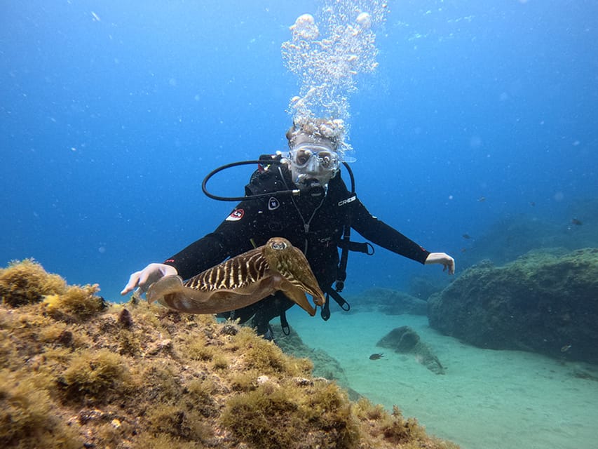 Lanzarote: Intro to Diving Experience for Beginners - Lanzarote’s Clear Water Makes a First Scuba Try Feel Doable