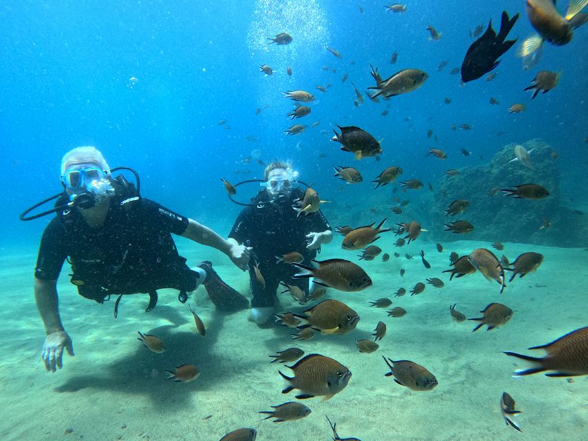 Lanzarote: Intro to Diving Experience for Beginners - Gear, Transport, Insurance, Photos: The Hidden Value in the Package