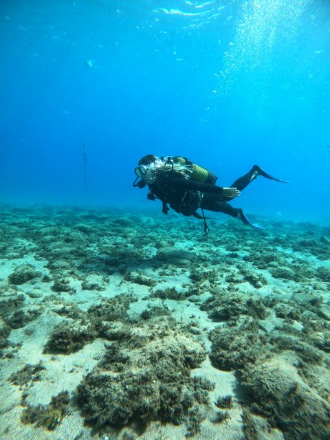 Lanzarote: Intro to Diving Experience for Beginners - Who This Is Best For in Lanzarote