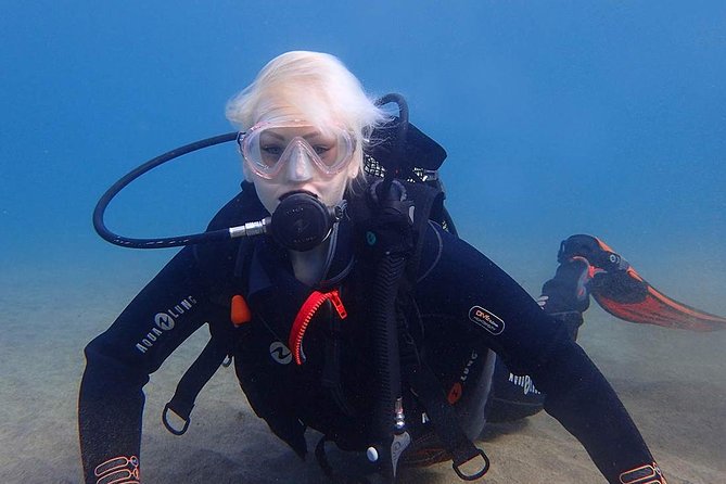 Lanzarote Introductory Scuba Diving Experience - What you might see underwater (and how to get the most from it)