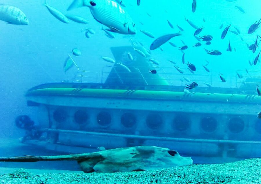 Lanzarote: Real Submarine Dive - Who should book this, and who might not love it