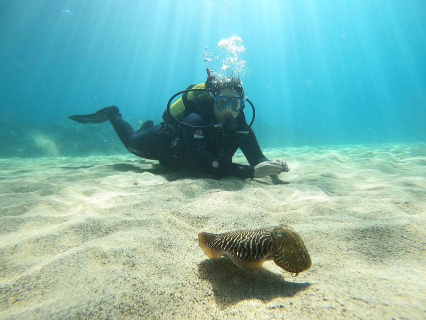 Lanzarote: Scuba Diving for Beginners - 1 Dive - Beginner Scuba Off Lanzarote: Why This Single Session Works