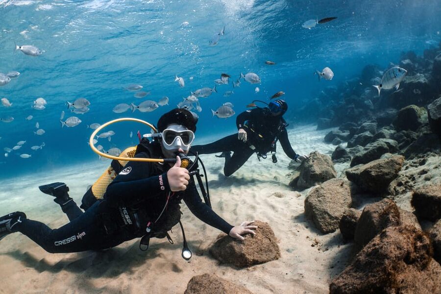Lanzarote: Scuba Diving for Beginners with 2 Dives - How the first 5-meter session builds skills you can feel
