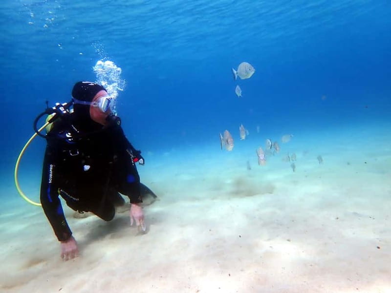 Lanzarote: Small Group Beginner Dive Course Costa Teguise - What to bring and how to prepare so it goes smoothly