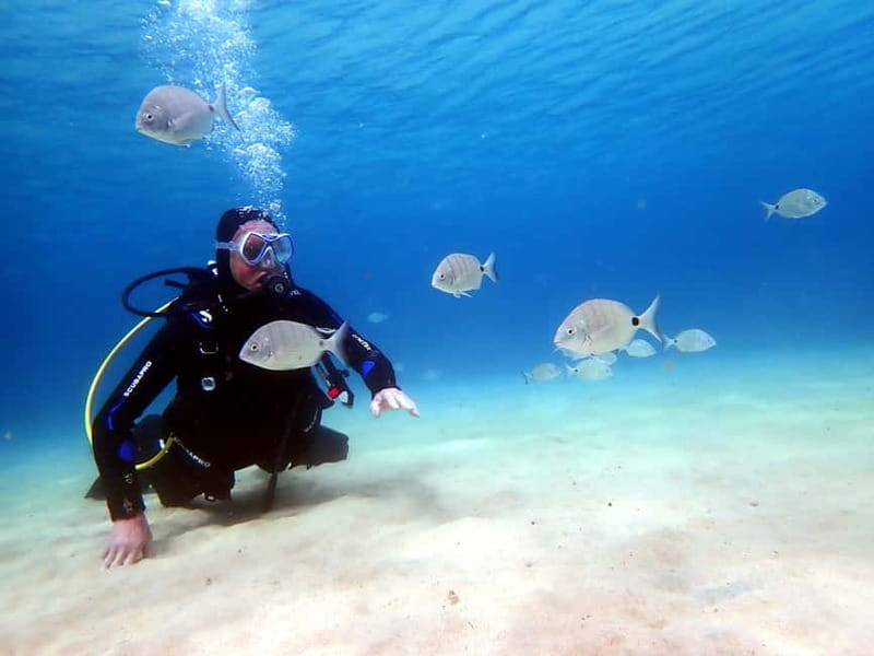 Lanzarote: Small-Group Discover Scuba Diving Costa Teguise - Playa del Jablillo: stepping in, gear up, and learning signals