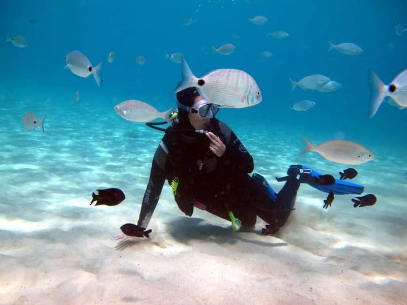 Lanzarote: Small-Group Discover Scuba Diving Costa Teguise - The 40-minute 3–5 m underwater session: what you’ll actually do