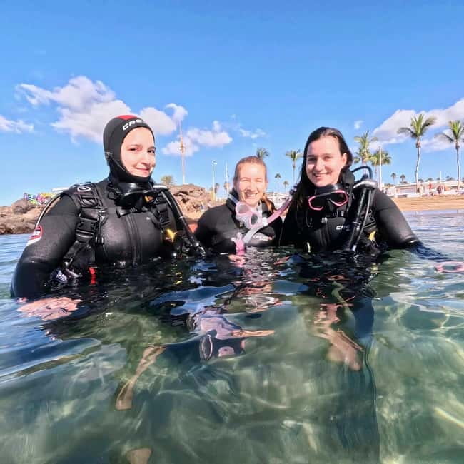 Lanzarote Your First Scuba Diving Experience - What you’ll see off Lanzarote’s volcanic coast