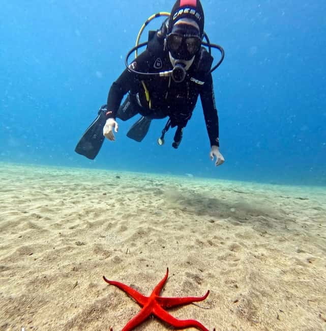 Lanzarote Your First Scuba Diving Experience - Photos and videos are part of the value, not an add-on