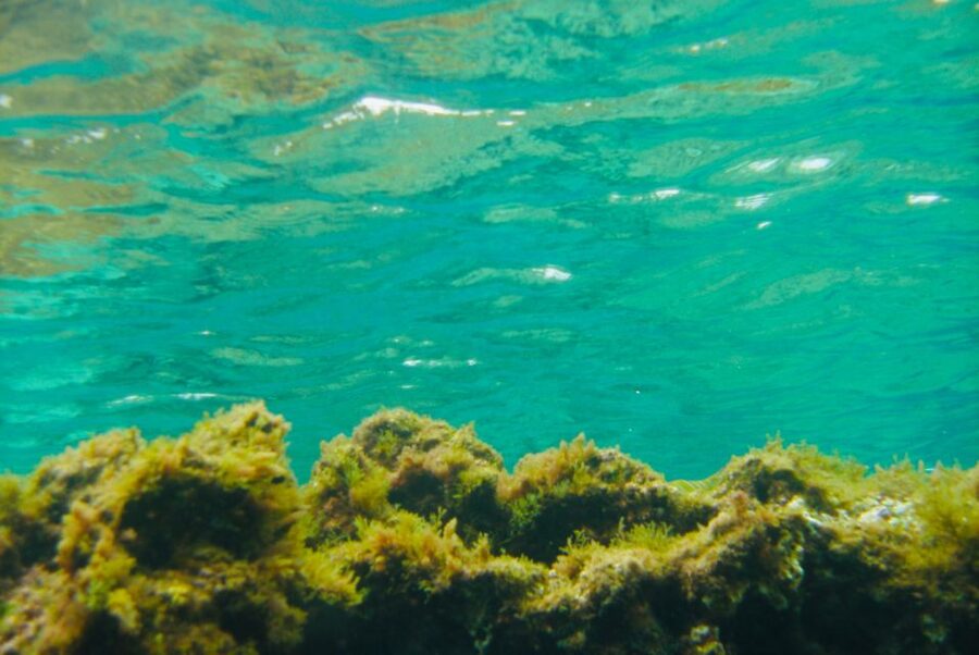 Las Canteras Scuba Diving - Safety and Coaching: Small Group Attention Makes a Difference