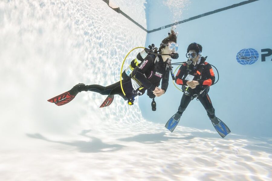 Las Palmas: 2-Day Padi Scuba Diving Course - Las Palmas 2-Day PADI Scuba Diver: The Big Picture