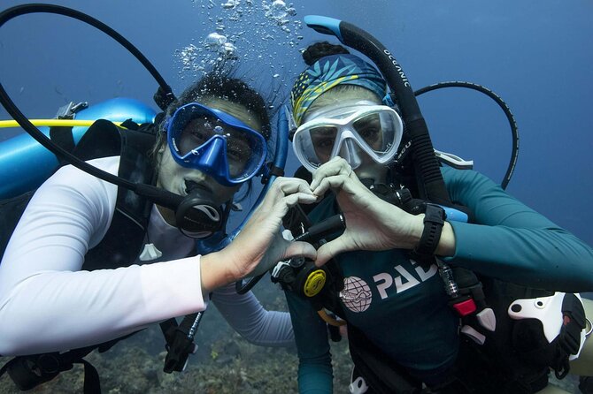 Learn Scuba Diving in Tenerife with Photos Included - Price and value: what you’re really paying for at $590.28