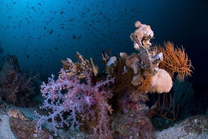 Learn to dive in 2 days Scuba Diver course - Why Ko Lipe works so well for starting Scuba Diver training