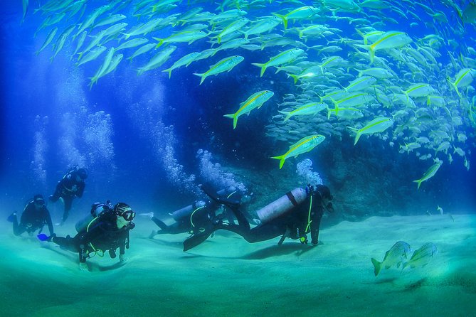 Learn to Scuba Dive in Cabo San Lucas with PADI - San Jose del Cabo Pool Practice: Where Comfort Really Starts
