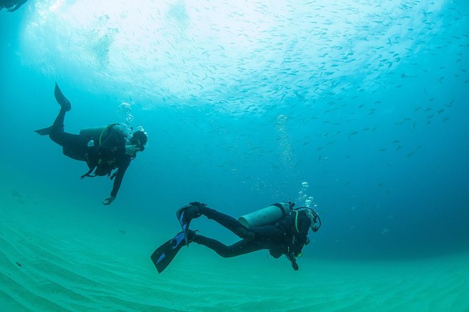 Learn to Scuba Dive in Cabo San Lucas with PADI - Best-Use Timing: When You’ll Feel the Longest Part of the Day