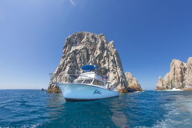 Learn to Scuba Dive in Cabo San Lucas with PADI - Weather, Jellyfish, and Other Things You Can’t Control