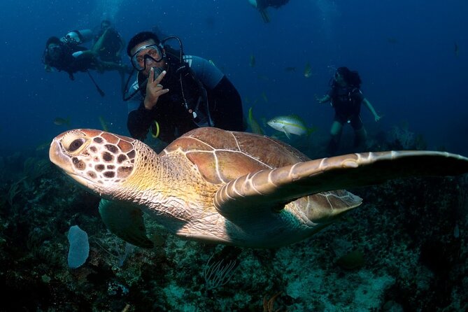 Learn to Scuba Dive in Punta Cana - Key things to know before you go