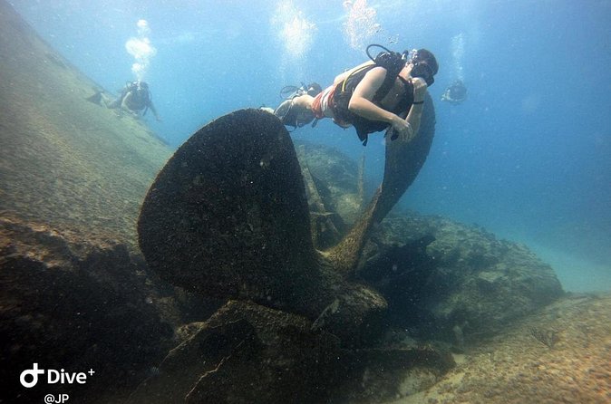 Learn to Scuba Dive in Punta Cana - What you’ll see: coral reef fish plus real sea life surprises