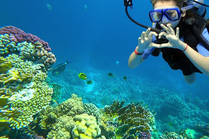 Learn to Scuba Dive with a Professional Instructor in Key Largo - All Inclusive - Key Highlights You’ll Feel Immediately