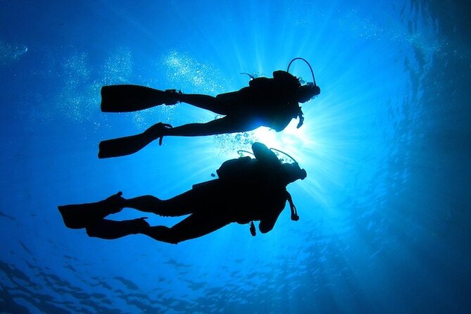 Learn to Scuba Dive with a Professional Instructor in Key Largo - All Inclusive - First-Time SCUBA Setup in Key Largo (Amoray’s Small-Group Advantage)