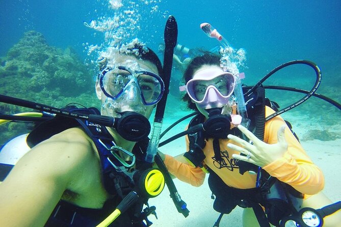 Learn to Scuba Dive with a Professional Instructor in Key Largo - All Inclusive - Your Two Tank Sessions: Wildlife Chances and Realistic Expectations