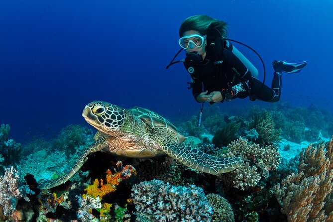 Learn to Scuba Dive with a Professional Instructor in Key Largo - All Inclusive - Snacks, Coffee, and Food Reality Between Sessions