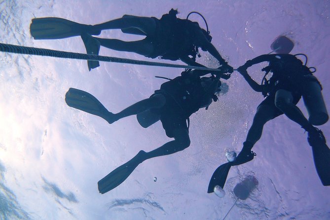 Leisure Diving | Fun Dives | 3 Dives in TARP, Kota Kinabalu - What’s included (and why that’s better than it sounds)