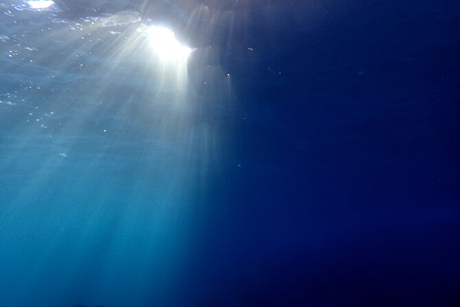 Let's enjoy Scuba diving in Izu Peninsula for certificate Diver - Price and value: is $457 a smart use of your time?