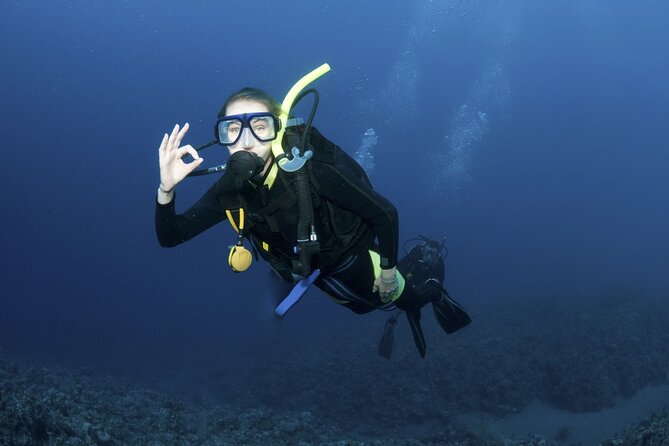 Lets Go Diving with pickup from hotel - Key Highlights That Matter in Real Life