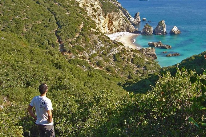 Lisbon Active Tourism - Diving in Arrábia - Sesimbra - Price and value: what $651.60 covers and why it can make sense