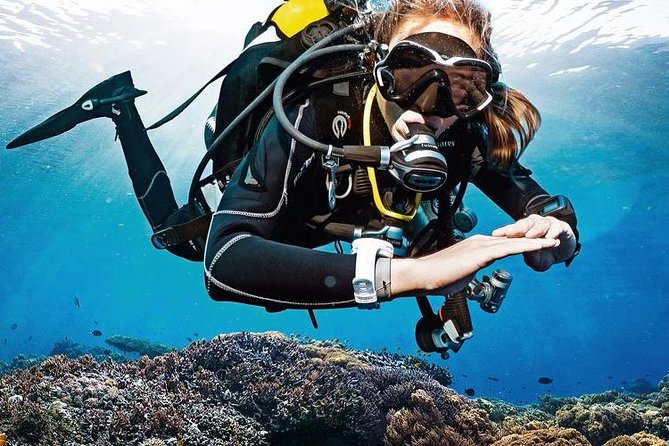 Lisbon Eco-Try Dive - Diving Baptism - Key Things to Know Before You Go