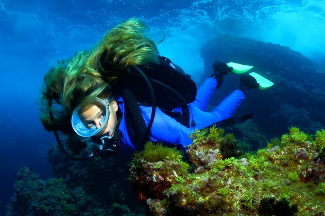 Lisbon Eco-Try Dive - Diving Baptism - Eco-Diving: What Helping the Sea Floor Actually Means
