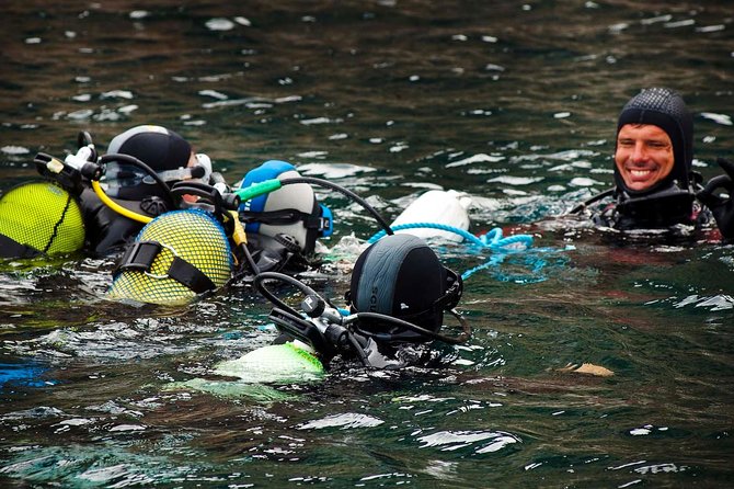Lisbon Eco-Try Dive - Diving Baptism - Where You Start: Sesimbra’s Easy Meeting Point