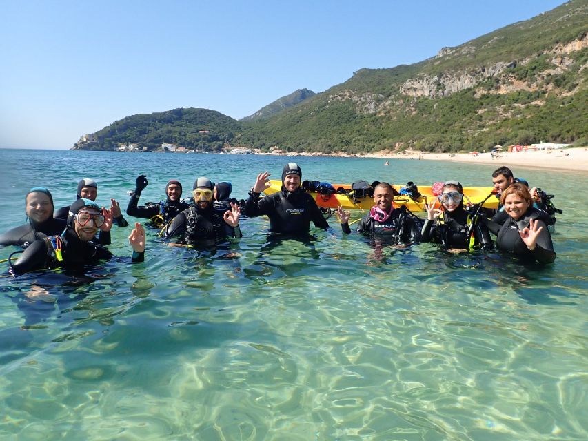 Lisbon: Try Dive in Arrábida Marine Reserve Setubal Sesimbra - Key takeaways before you book
