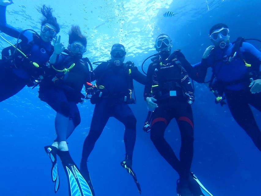 Lisbon: Try Dive in Arrábida Marine Reserve Setubal Sesimbra - Where Arrábida’s protected reefs fit into a Lisbon trip