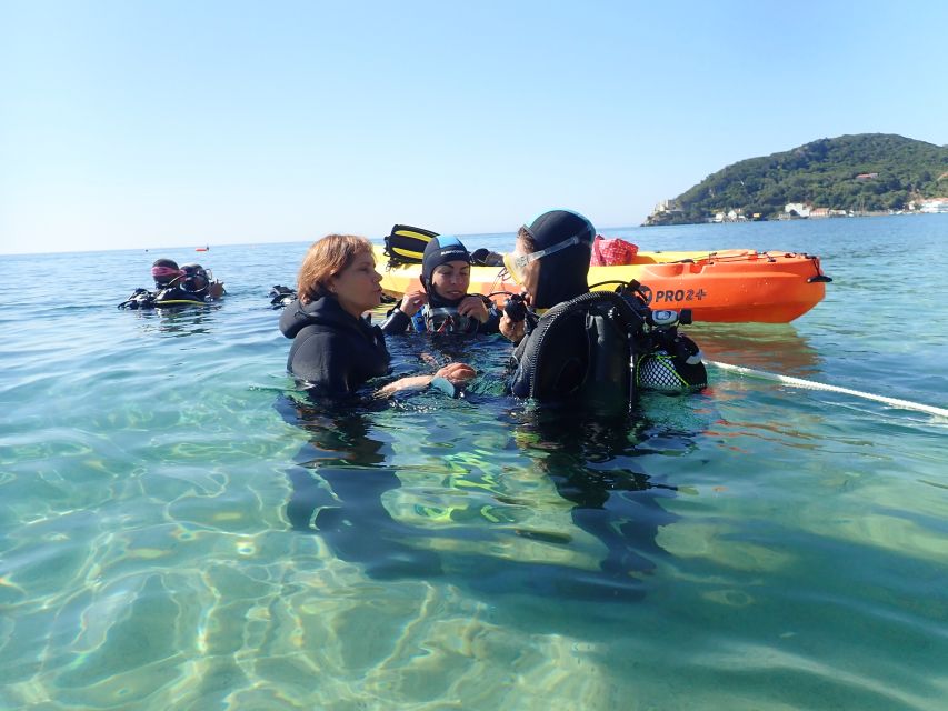 Lisbon: Try Dive in Arrábida Marine Reserve Setubal Sesimbra - Safety briefing and gear fitting: what you’ll actually do first
