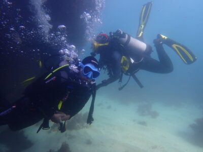Lisbon: Try Dive in Arrábida Marine Reserve Setubal Sesimbra - Creiro’s Beach meeting point and the speedboat transfer